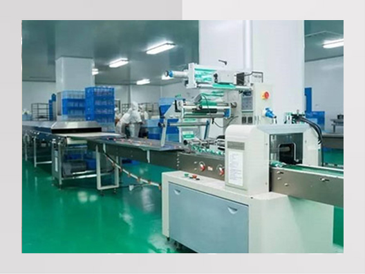 嘉善食品廠凈化車(chē)間裝修效果圖