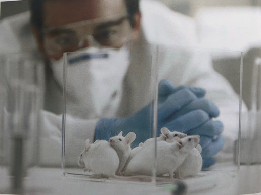 凈化車間裝修醫(yī)院凈化工程資質(zhì)怎么申請？